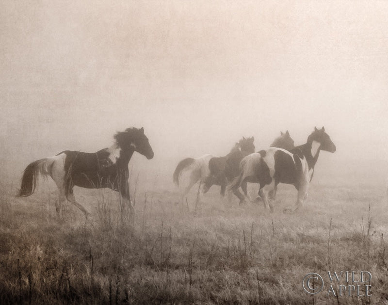 Reproduction of Painted Horses on the Run Crop by Debra Van Swearingen - Wall Decor Art