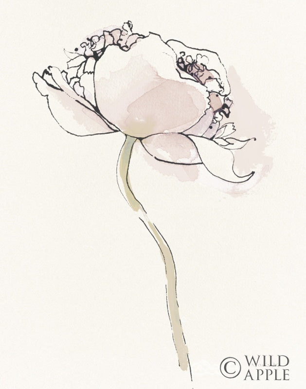 Reproduction of Single Somniferums I Neutral Crop by Shirley Novak - Wall Decor Art