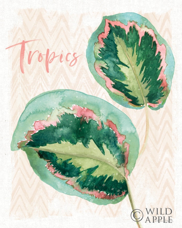 Reproduction of From the Jungle XI by Beth Grove - Wall Decor Art