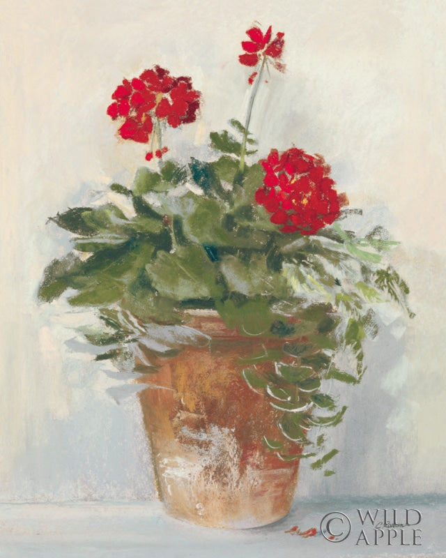 Reproduction of Potted Geraniums II Light by Carol Rowan - Wall Decor Art