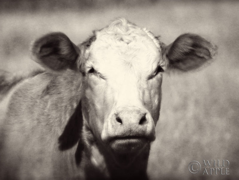 Reproduction of Pretty Girl by Debra Van Swearingen - Wall Decor Art