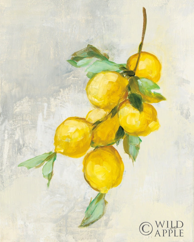 Reproduction of Zest II by Julia Purinton - Wall Decor Art