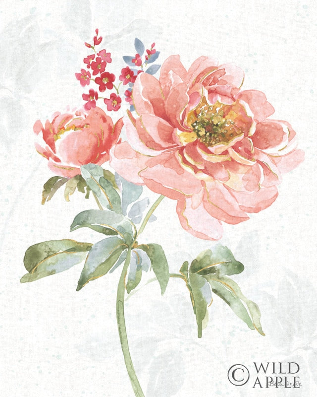 Reproduction of Floral Focus VI by Beth Grove - Wall Decor Art