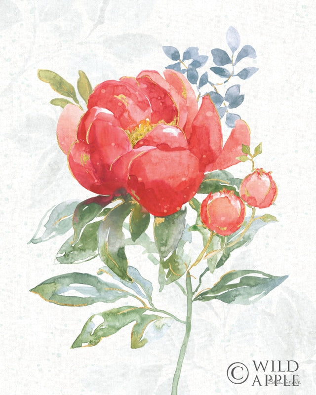 Reproduction of Floral Focus VII by Beth Grove - Wall Decor Art