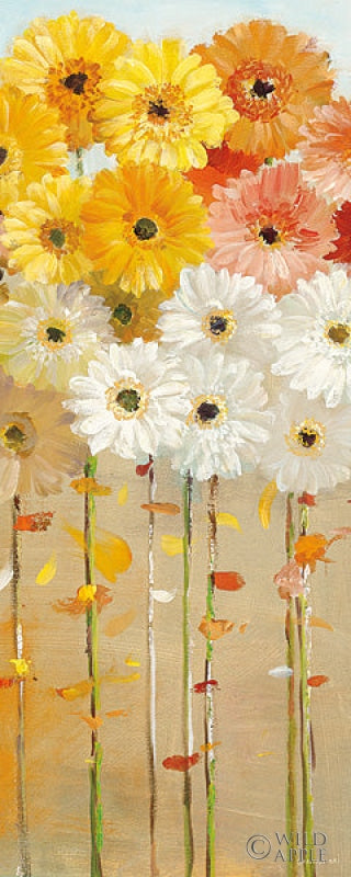Reproduction of Daisies Fall I by Danhui Nai - Wall Decor Art