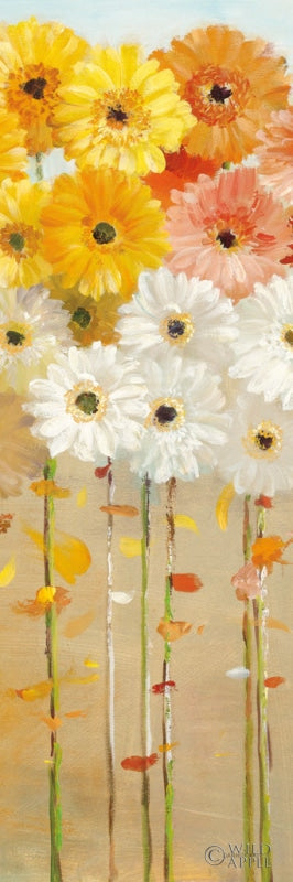 Reproduction of Daisies Fall I Crop by Danhui Nai - Wall Decor Art