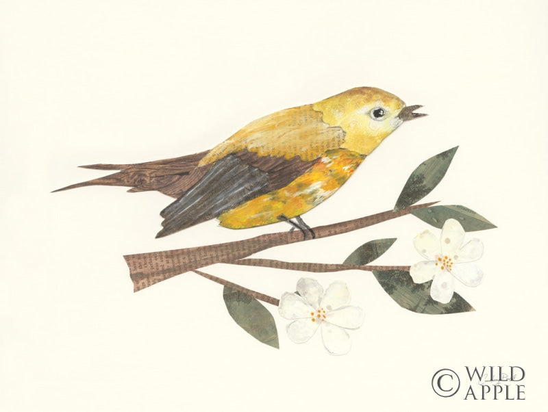 Reproduction of Birds and Blossoms I by Courtney Prahl - Wall Decor Art