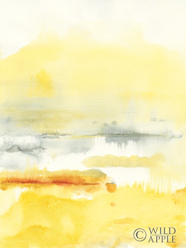 Reproduction of Saffron II by Danhui Nai - Wall Decor Art