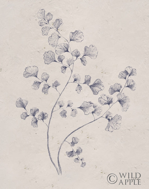 Reproduction of Soft Summer Sketches IV Navy by James Wiens - Wall Decor Art