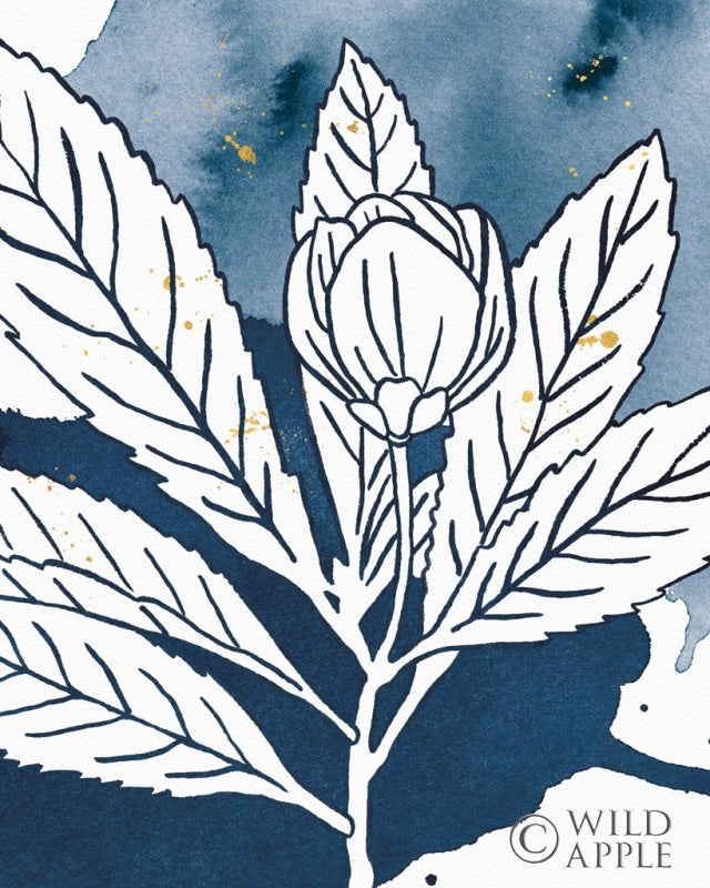 Reproduction of Indigo Blooms IV by Wild Apple Portfolio - Wall Decor Art