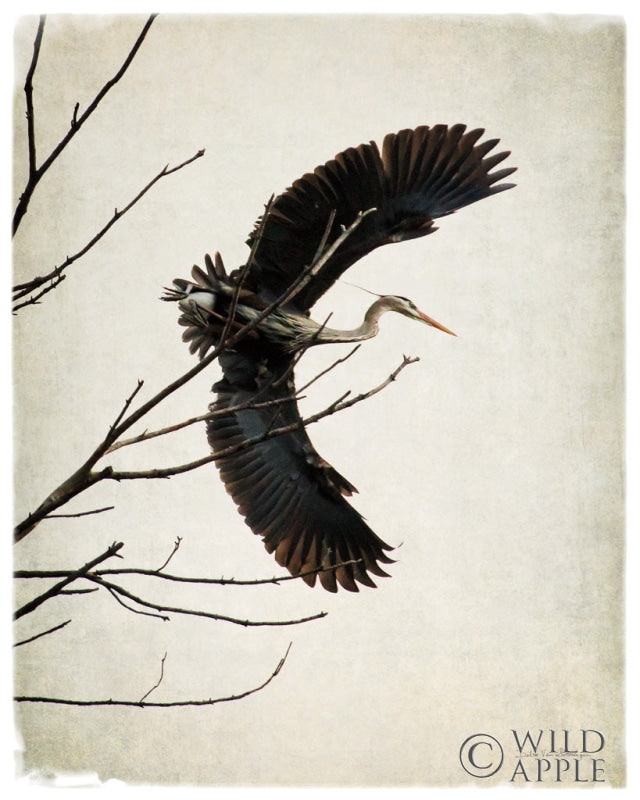 Reproduction of Grace by Debra Van Swearingen - Wall Decor Art