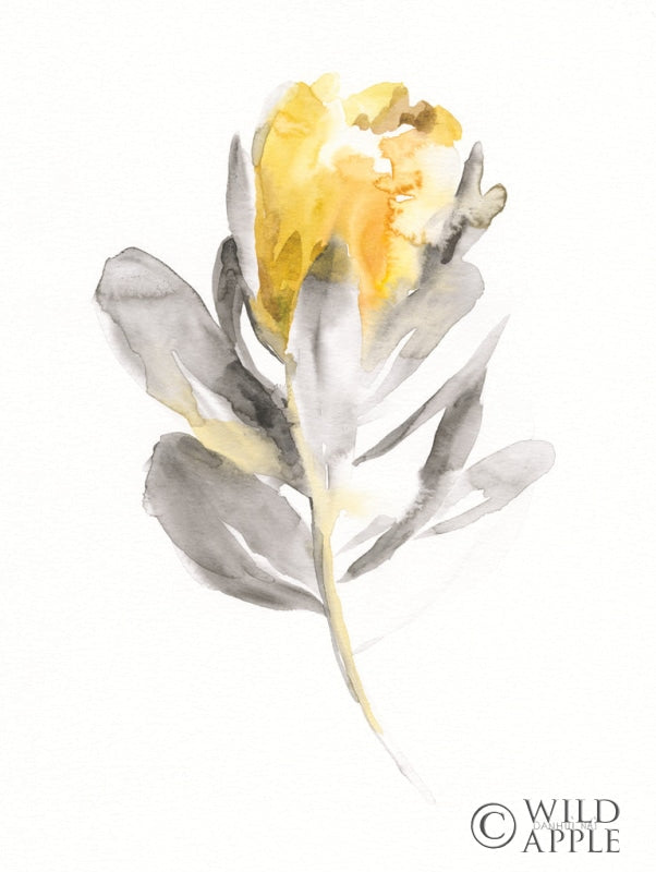 Reproduction of Spirit Flower I by Danhui Nai - Wall Decor Art