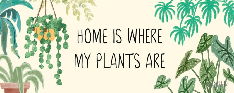 Reproduction of Urban Jungle VI by Mary Urban - Wall Decor Art