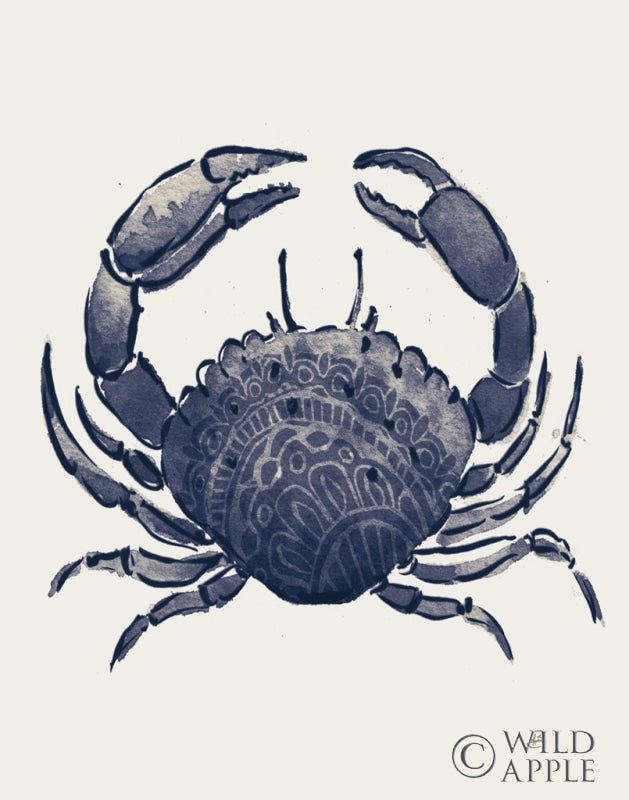 Reproduction of Ocean Finds V Navy by Daphne Brissonnet - Wall Decor Art