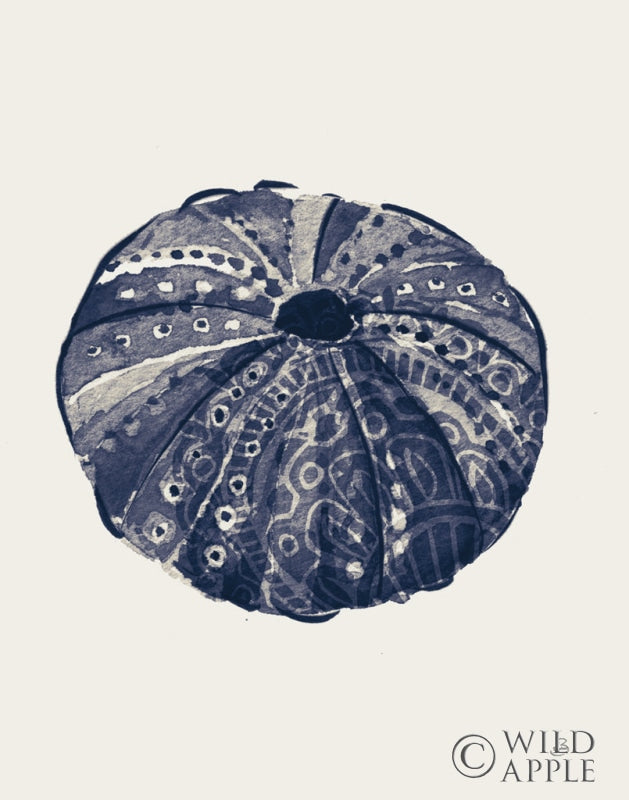 Reproduction of Ocean Finds VII Navy by Daphne Brissonnet - Wall Decor Art