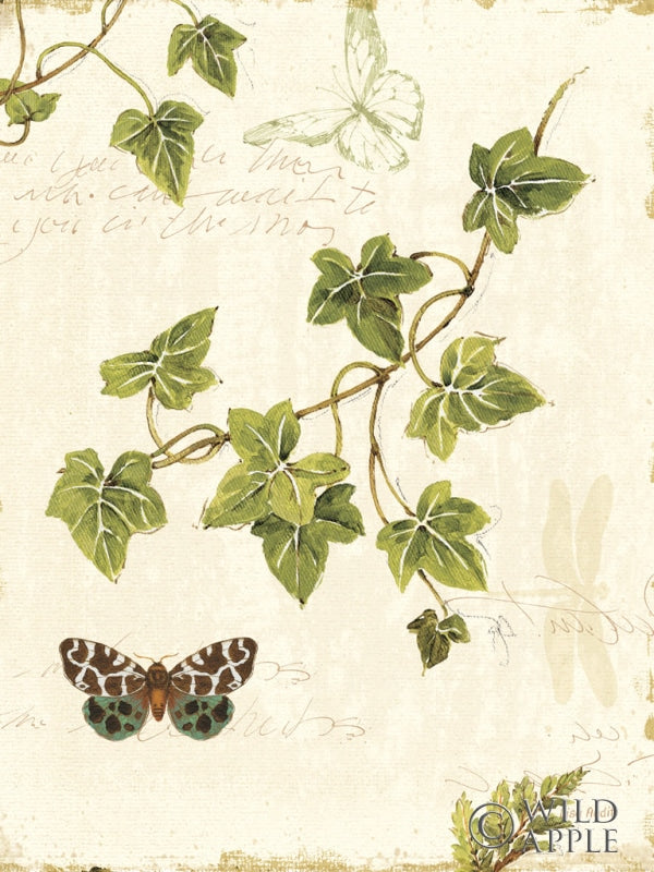 Reproduction of Ivies and Ferns II Crop by Lisa Audit - Wall Decor Art