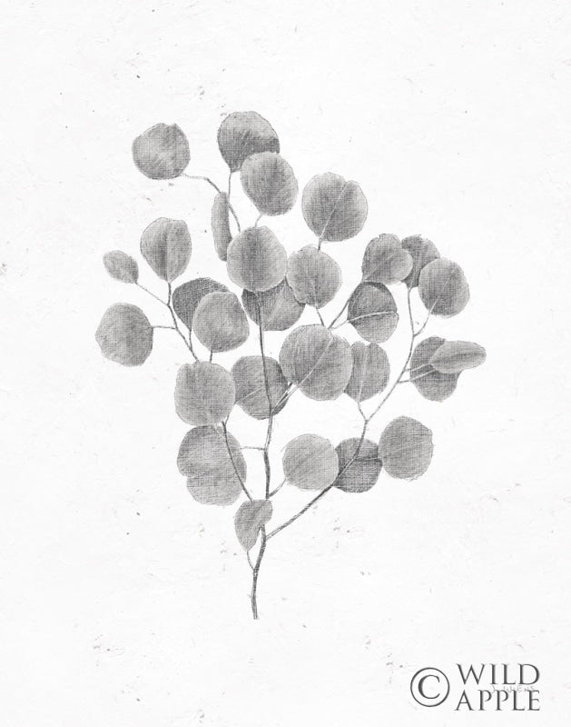 Reproduction of Soft Summer Sketches II Blue by James Wiens - Wall Decor Art