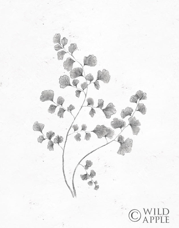 Reproduction of Soft Summer Sketches IV Blue by James Wiens - Wall Decor Art