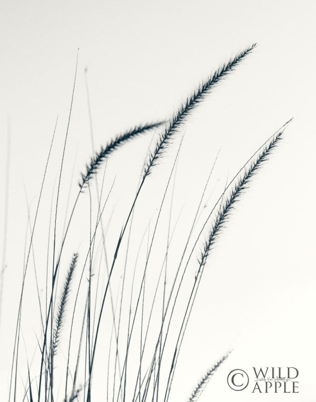 Reproduction of Field Grasses III Crop by Debra Van Swearingen - Wall Decor Art