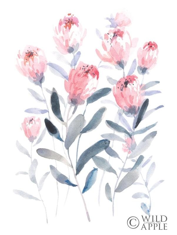 Reproduction of All the Protea by Danhui Nai - Wall Decor Art