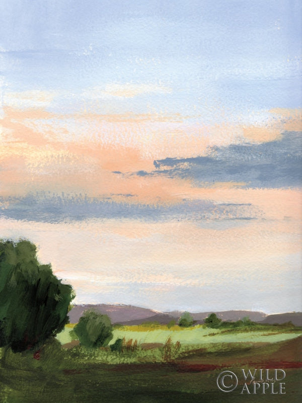 Reproduction of Skylight I by Pamela Munger - Wall Decor Art