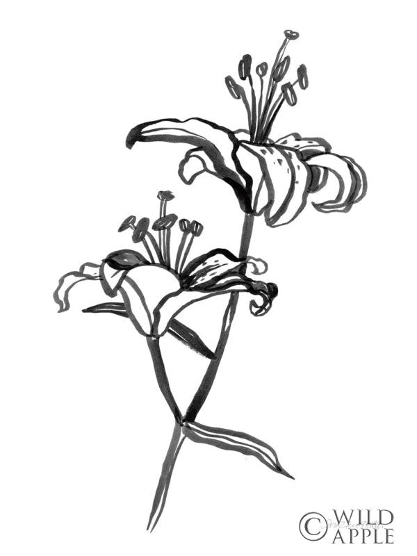 Reproduction of Ink Lilies I by Sara Zieve Miller - Wall Decor Art
