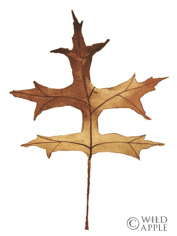 Reproduction of Colors of the Fall I Brown by Anne Tavoletti - Wall Decor Art