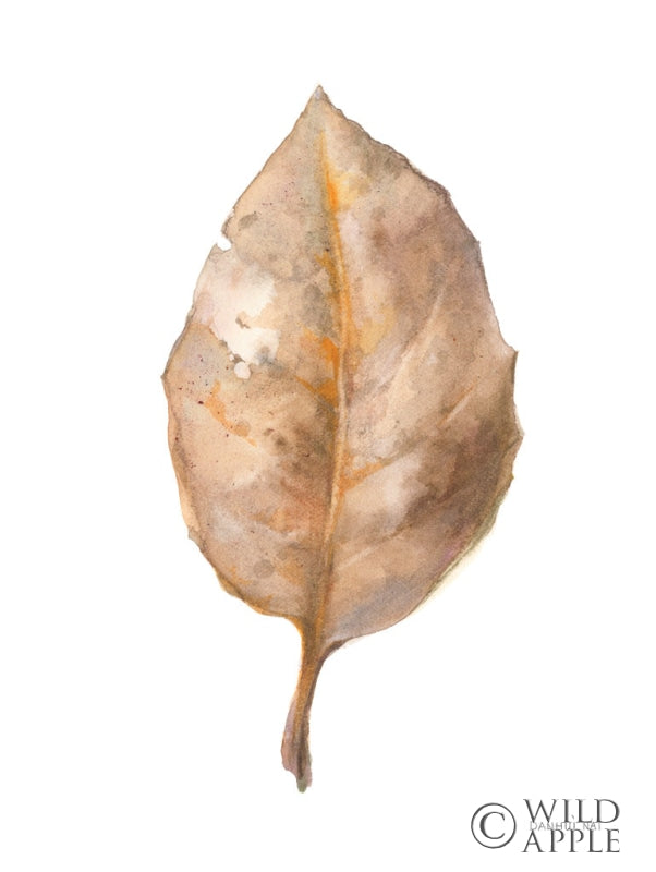 Reproduction of Fallen Leaf II by Danhui Nai - Wall Decor Art