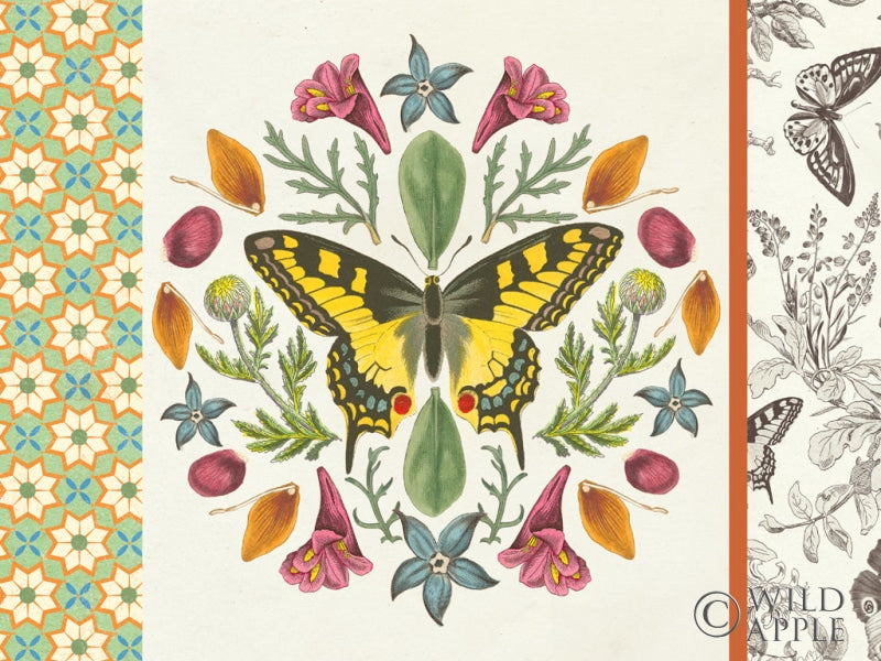Reproduction of Butterfly Mandala III with Borders by Wild Apple Portfolio - Wall Decor Art
