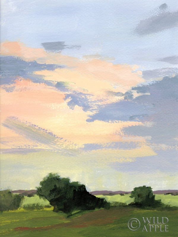 Reproduction of Skylight II v2 by Pamela Munger - Wall Decor Art