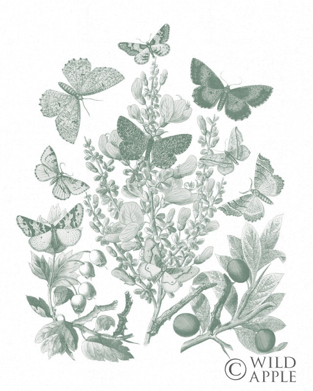 Reproduction of Butterfly Bouquet II Sage by Wild Apple Portfolio - Wall Decor Art