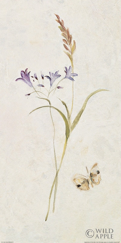 Reproduction of Wild Wallflowers III by Cheri Blum - Wall Decor Art