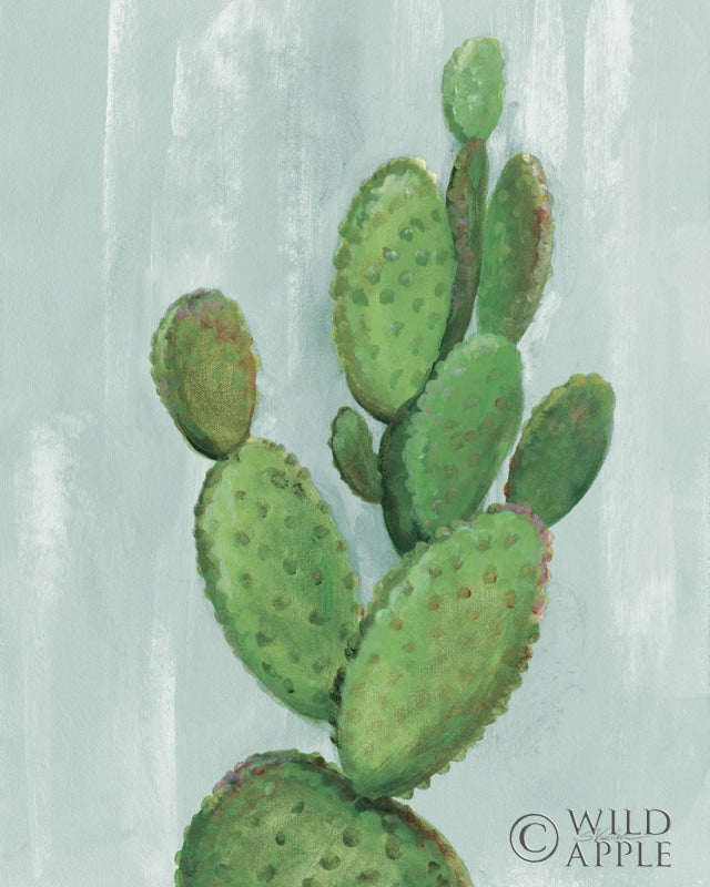 Reproduction of Front Yard Cactus I Slate by Silvia Vassileva - Wall Decor Art
