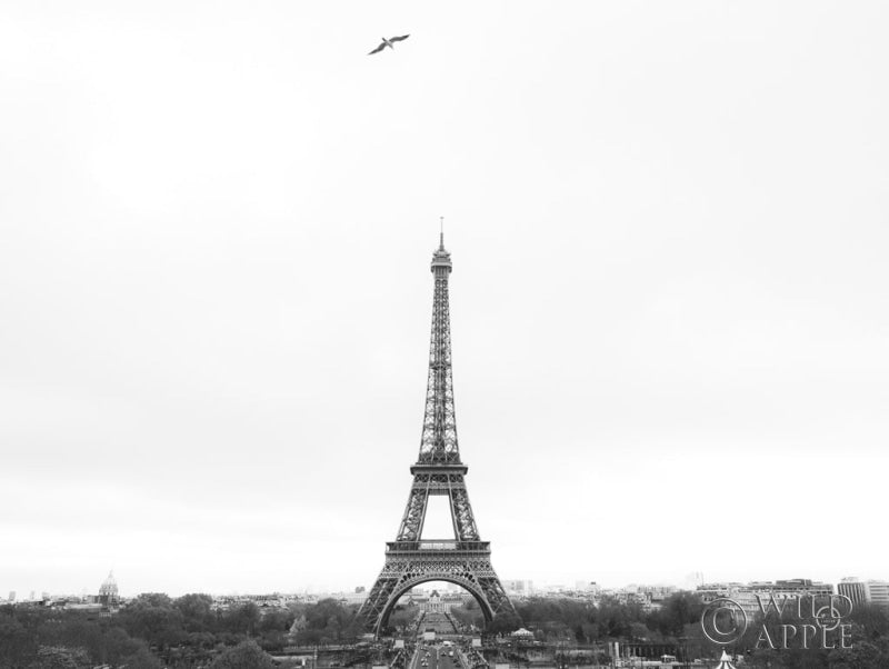 Reproduction of A Birds View of Paris by Nathan Larson - Wall Decor Art