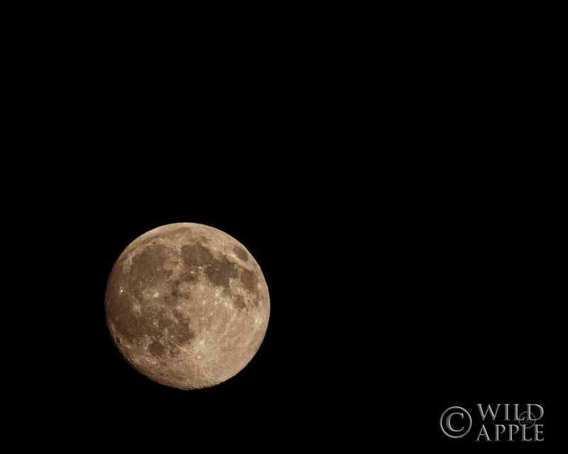 Reproduction of Moon Detail II by Nathan Larson - Wall Decor Art