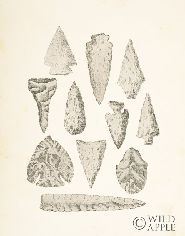 Reproduction of Ancient Arrowheads by Wild Apple Portfolio - Wall Decor Art