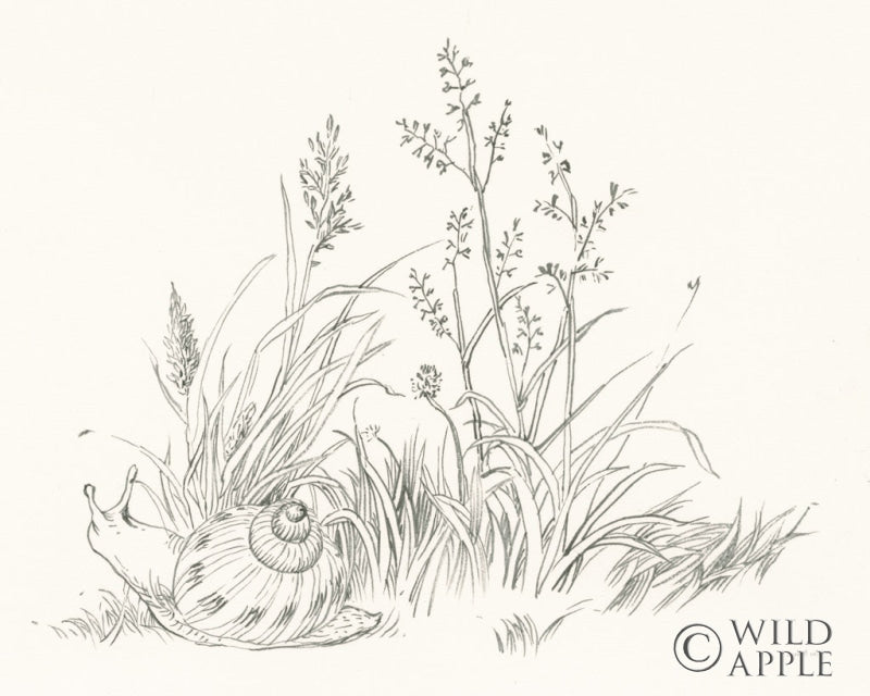 Reproduction of Farm Nostalgia Flowers VII Dark Gray by Danhui Nai - Wall Decor Art