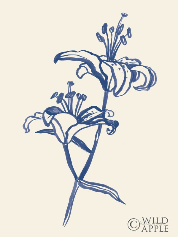Reproduction of Ink Lilies I Blue by Sara Zieve Miller - Wall Decor Art