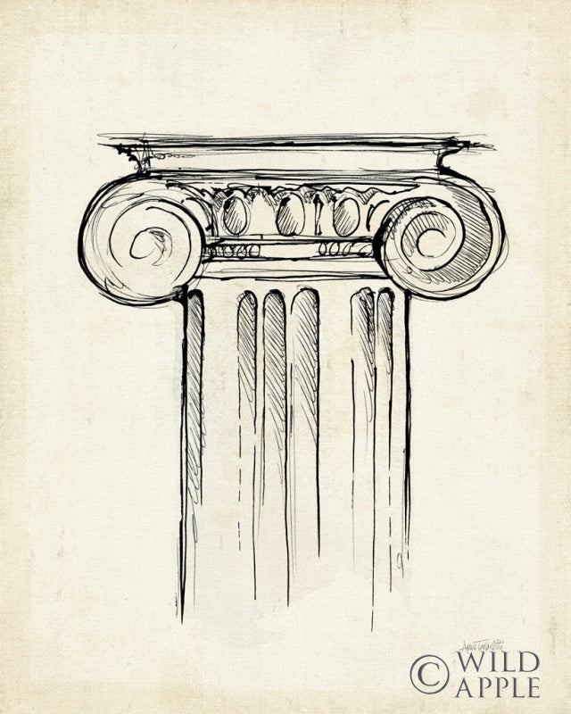 Reproduction of Museum Sketches V Off White by Anne Tavoletti - Wall Decor Art