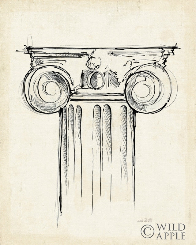 Reproduction of Museum Sketches VII Off White by Anne Tavoletti - Wall Decor Art