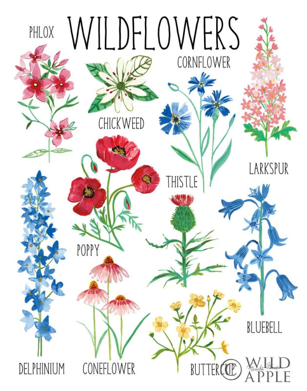 Reproduction of Nature Chart I by Farida Zaman - Wall Decor Art