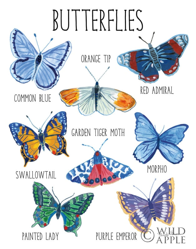 Reproduction of Nature Chart II by Farida Zaman - Wall Decor Art