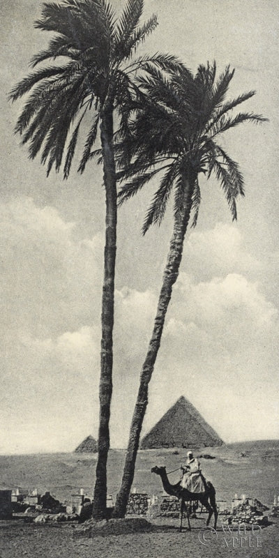 Reproduction of Cairo IV Crop by Wild Apple Portfolio - Wall Decor Art