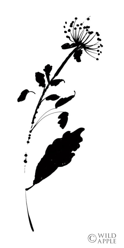 Reproduction of Silhouette Floral III by Wild Apple Portfolio - Wall Decor Art