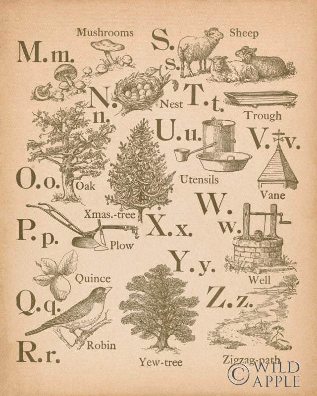 Reproduction of Vintage Alphabet II by Wild Apple Portfolio - Wall Decor Art