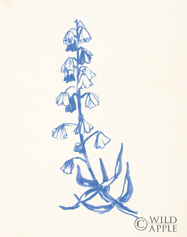 Reproduction of Bluebells I by Sara Zieve Miller - Wall Decor Art