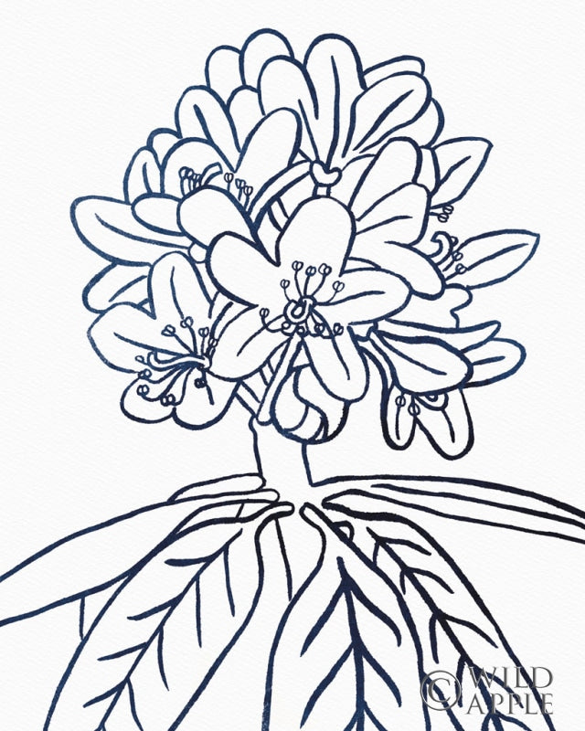 Reproduction of BW Blooms II by Wild Apple Portfolio - Wall Decor Art