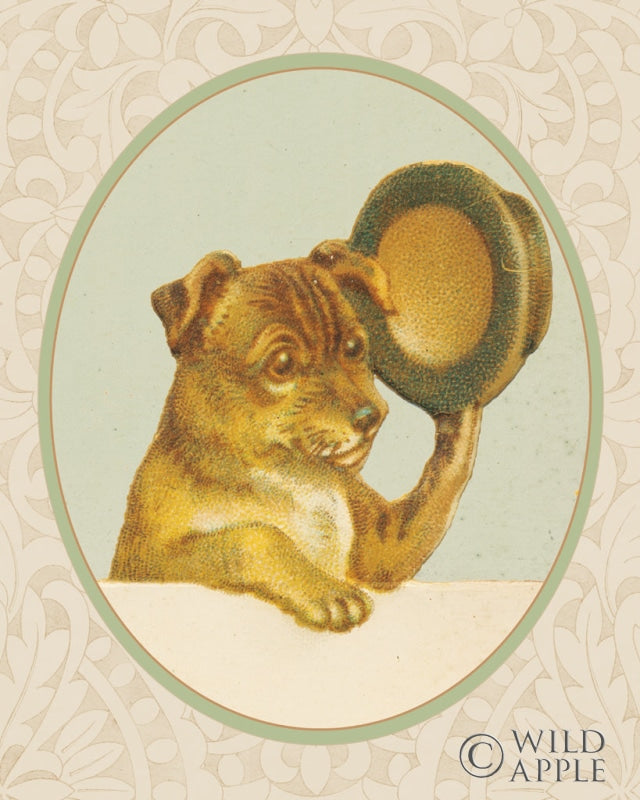 Reproduction of Dog with Hat I by Wild Apple Portfolio - Wall Decor Art