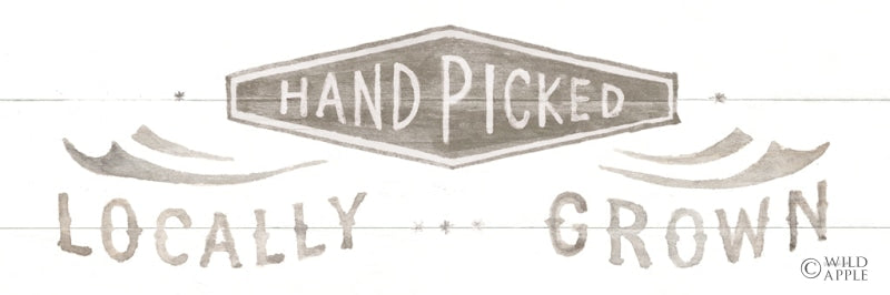 Reproduction of Homegrown Summer Sign II v2 by Danhui Nai - Wall Decor Art