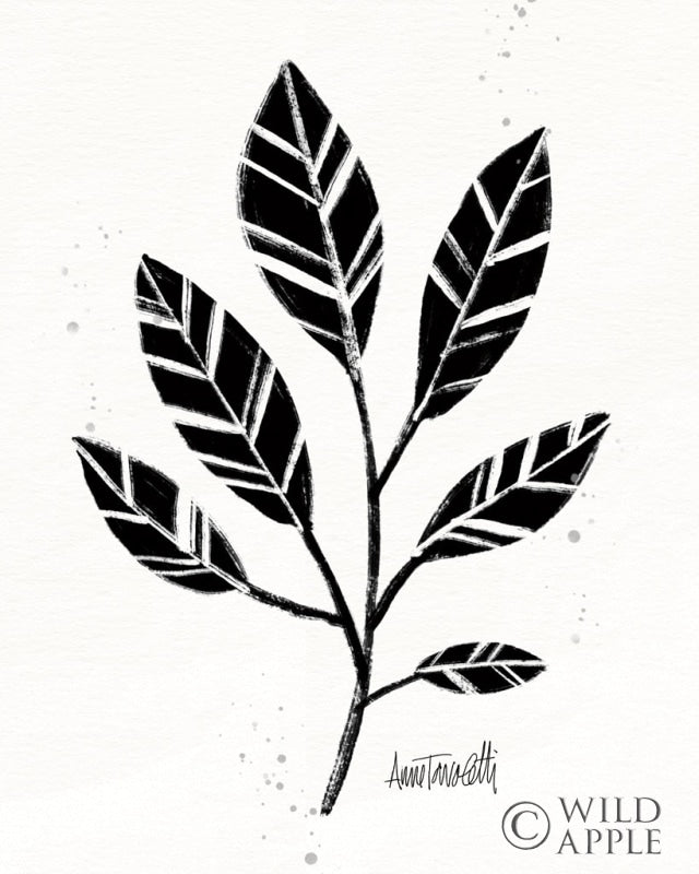Reproduction of Botanical Sketches III by Anne Tavoletti - Wall Decor Art
